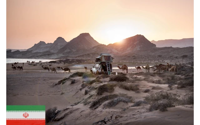 Gordigear Dachzelt Plus Für 4 Personen Mit Staufläche 180 X 320 Cm Grün 5 Gordigear Dachzelt Plus Für 4 Personen Mit Staufläche 180 X 320 Cm Grün – Bild 5