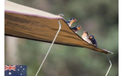 Gordigear Dachzelt 165 Plus Für 3 Personen Mit Vorzelt 165 X 320 Cm Grün -Camping Discounter 585663 3986115